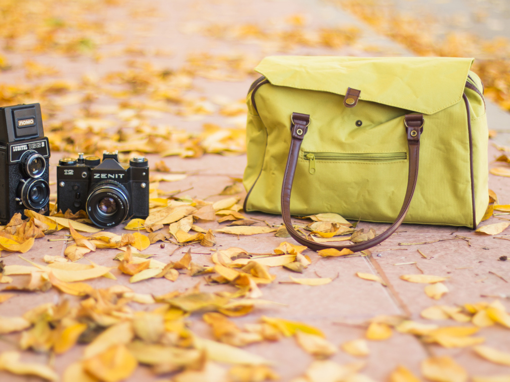 Фотоаппарат и сумка стоят на сухих листьях осенью