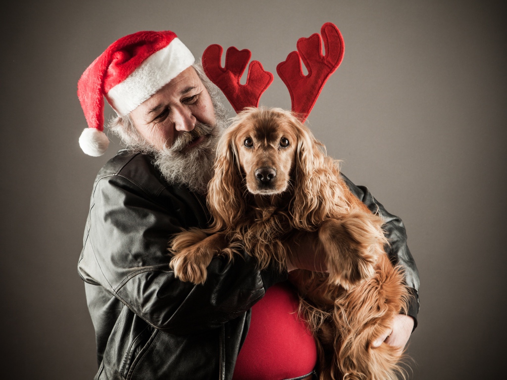 Санта Клаус с собакой в руках на сером фоне