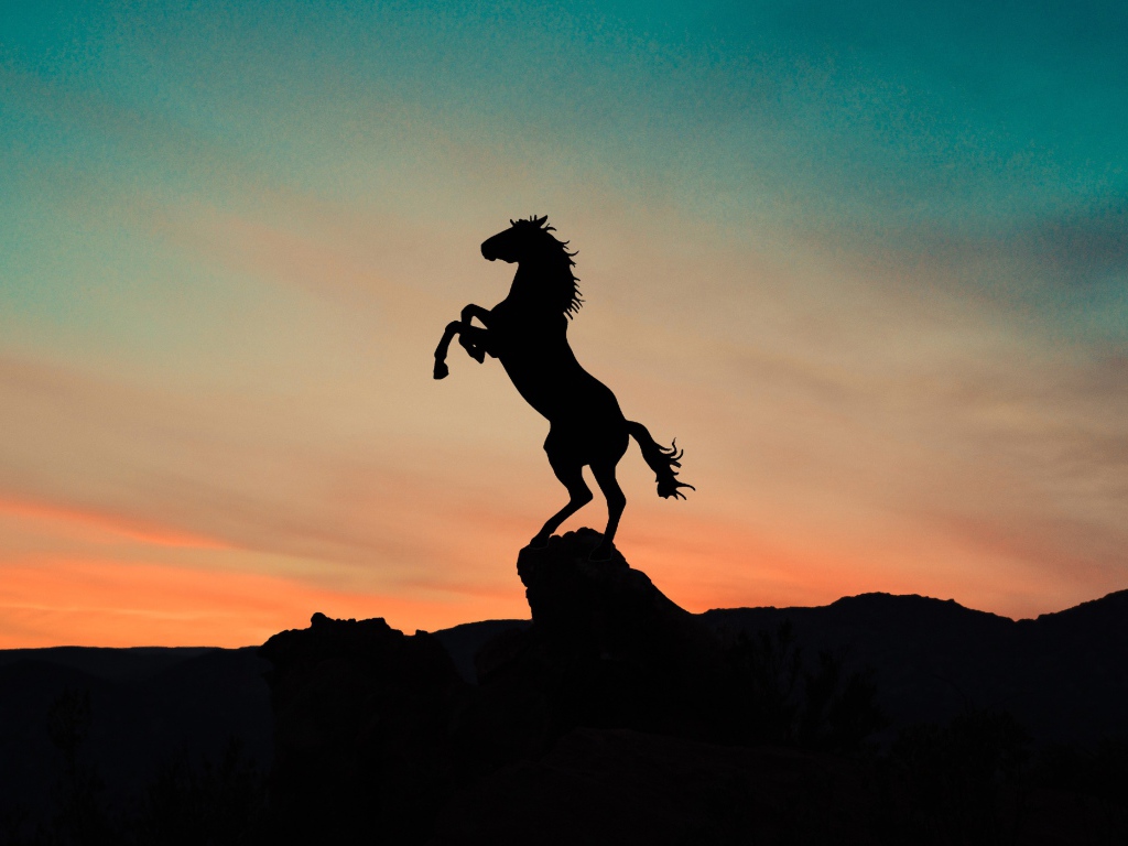 Силуэт коня на вершине горы на закате 