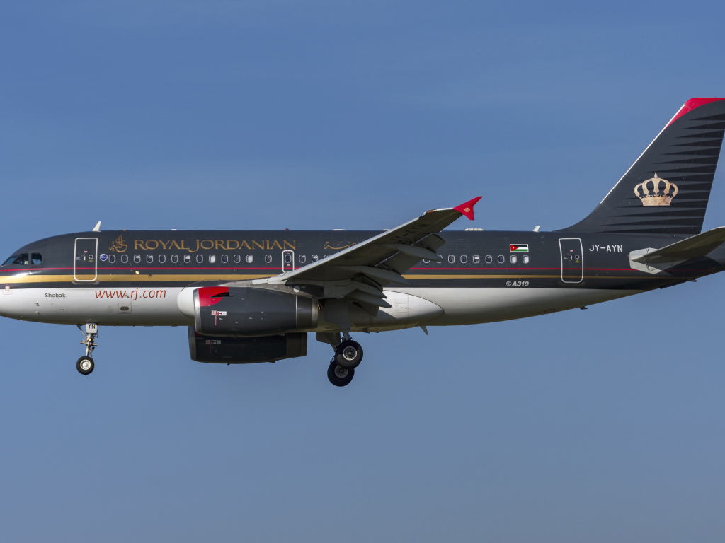 Пассажирский  Airbus A319-100 авиакомпании  Royal Jordanian в небе 