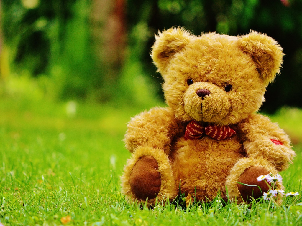 Красивый плюшевый медведь на зеленой траве 