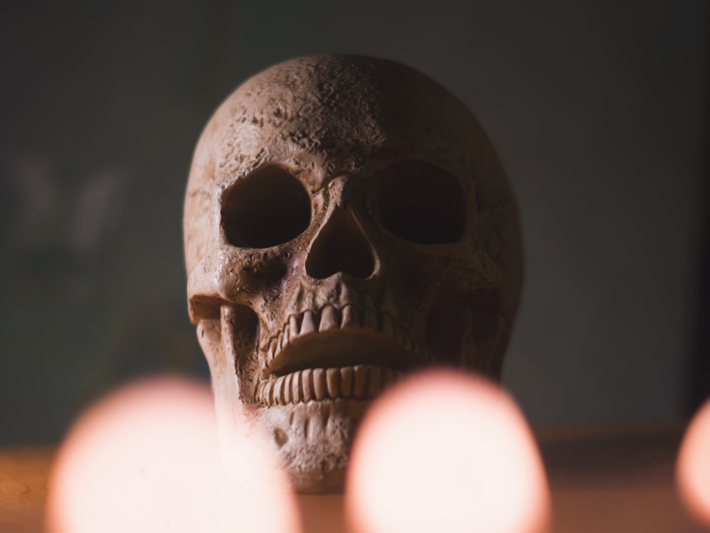 Большой череп на столе крупным планом