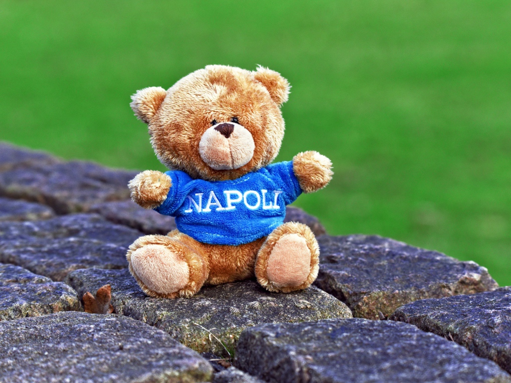 Маленький игрушечный медвежонок сидит на камнях 