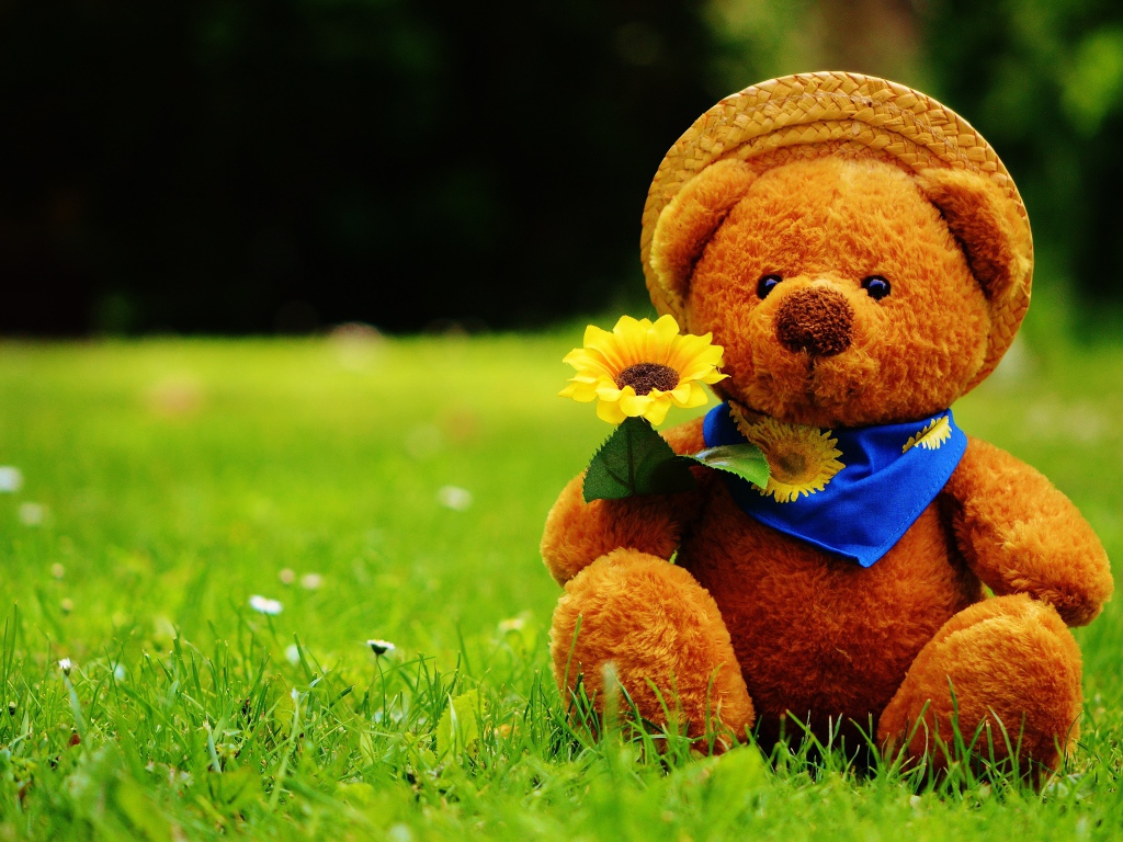 Мишка Тедди с цветком сидит на зеленой траве