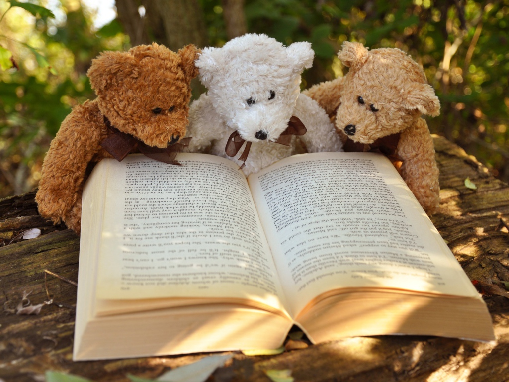 Три медвежонка Тедди читают книгу в парке