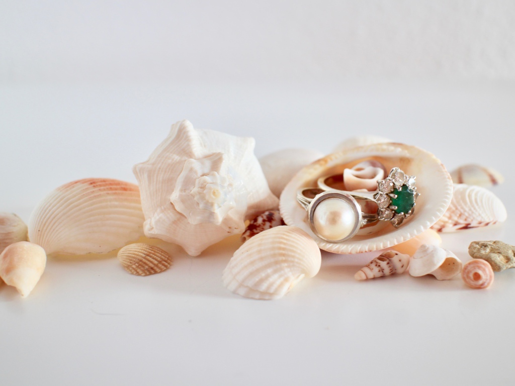 Кольца и ракушки на белом фоне