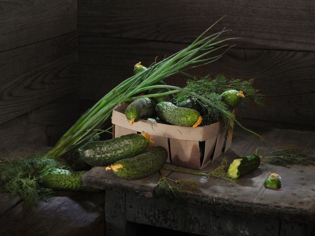 Свежие огурцы на столе  с зеленым луком и укропом