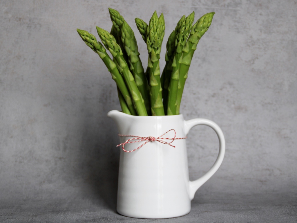 Green asparagus in a white vase against a gray wall