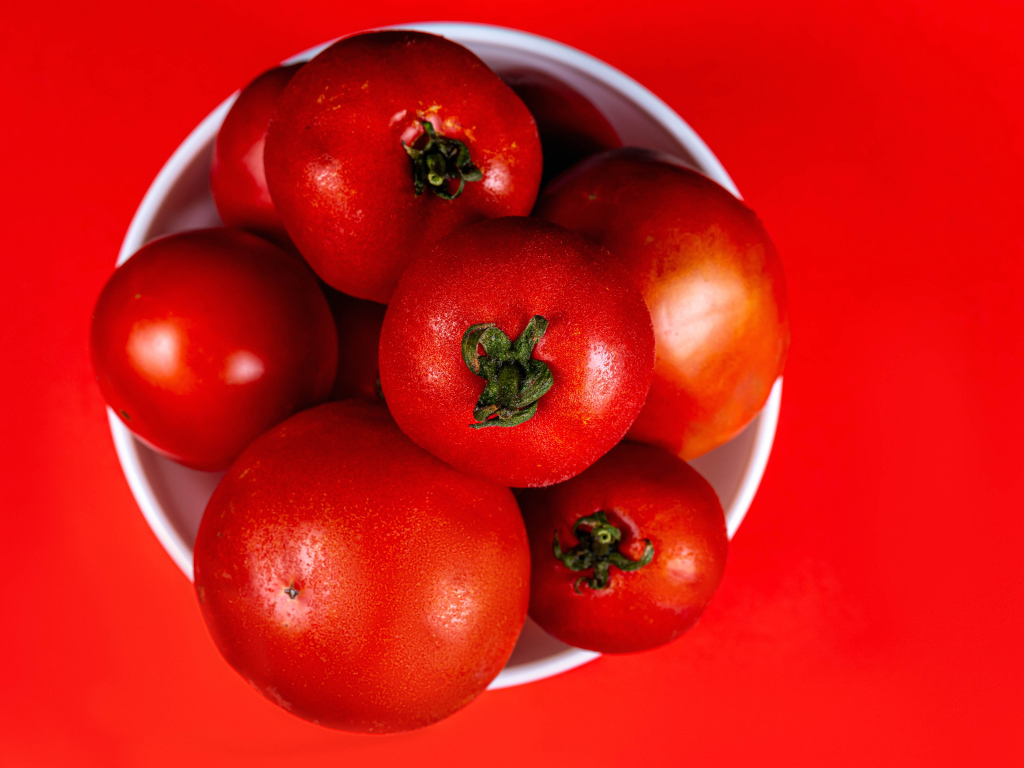 Крупные помидоры в белой миске на красном фоне