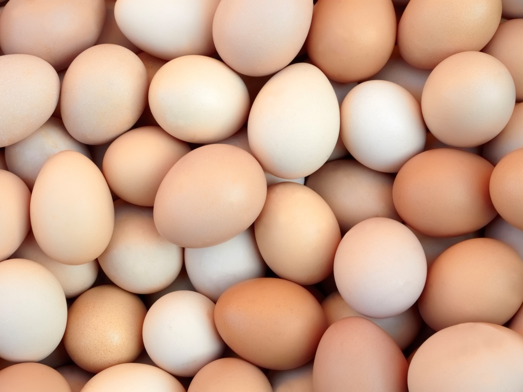 Много домашних яиц крупным планом