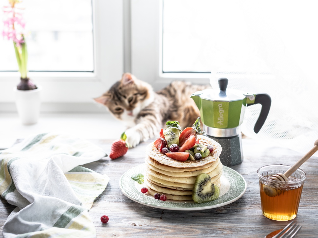 Блины на столе с ягодами, медом и котом 