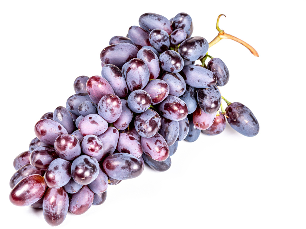 Гроздь синего винограда на белом фоне крупным планом