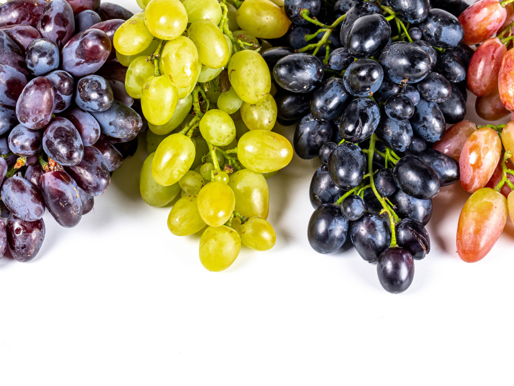 Грозди разноцветного винограда на белом фоне