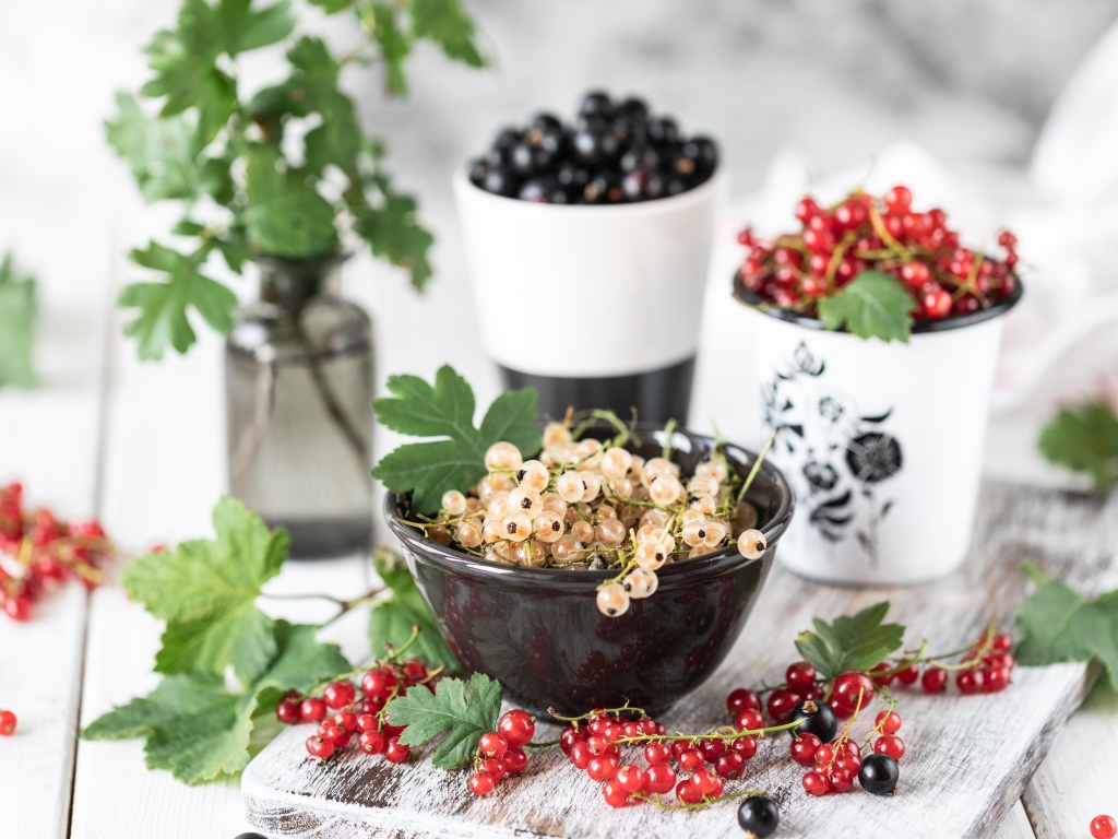 Свежая красная, черная и белая смородина на столе