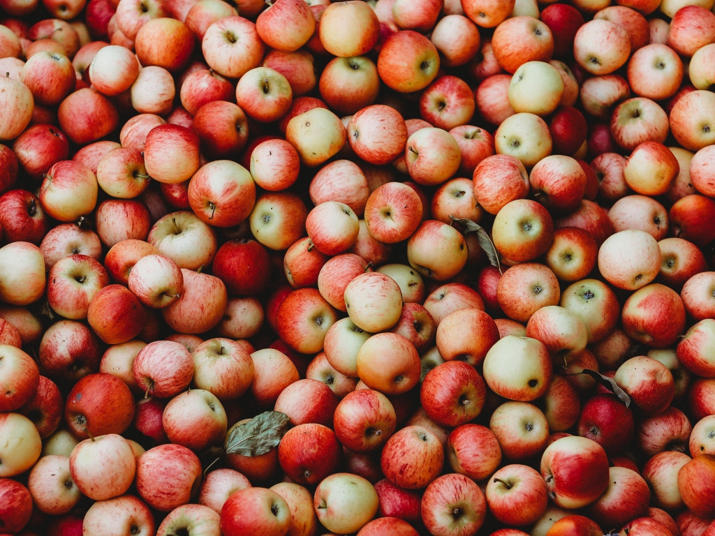 Many ripe red apples close up
