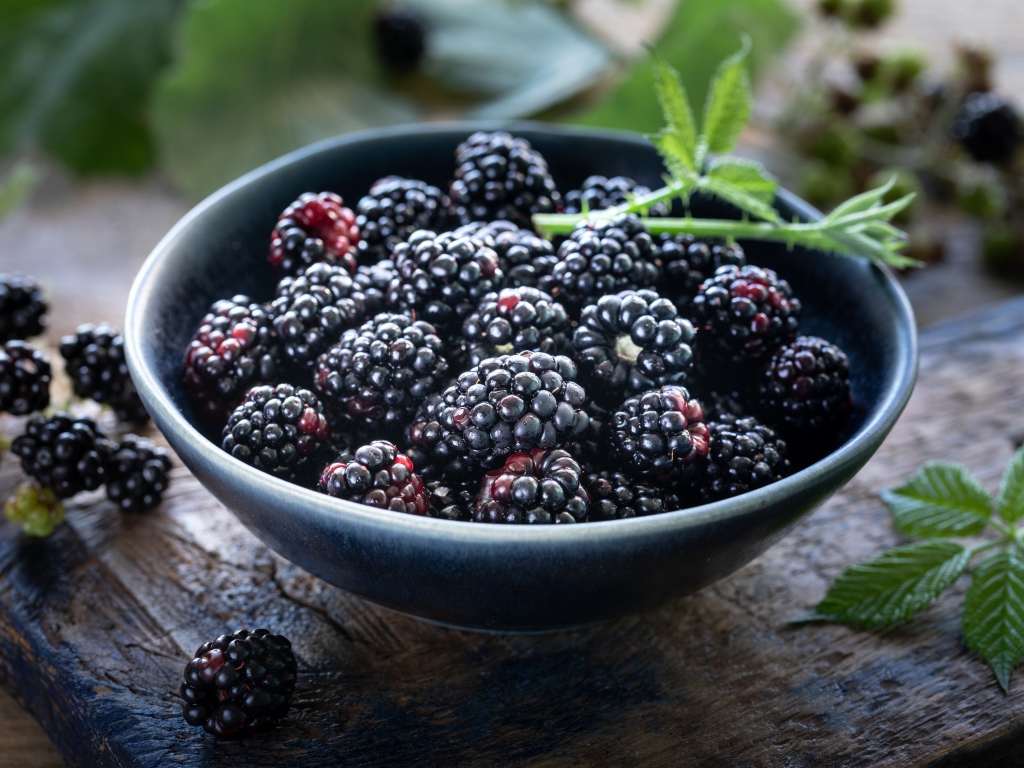 Спелые черные ягоды ежевики в миске на столе 