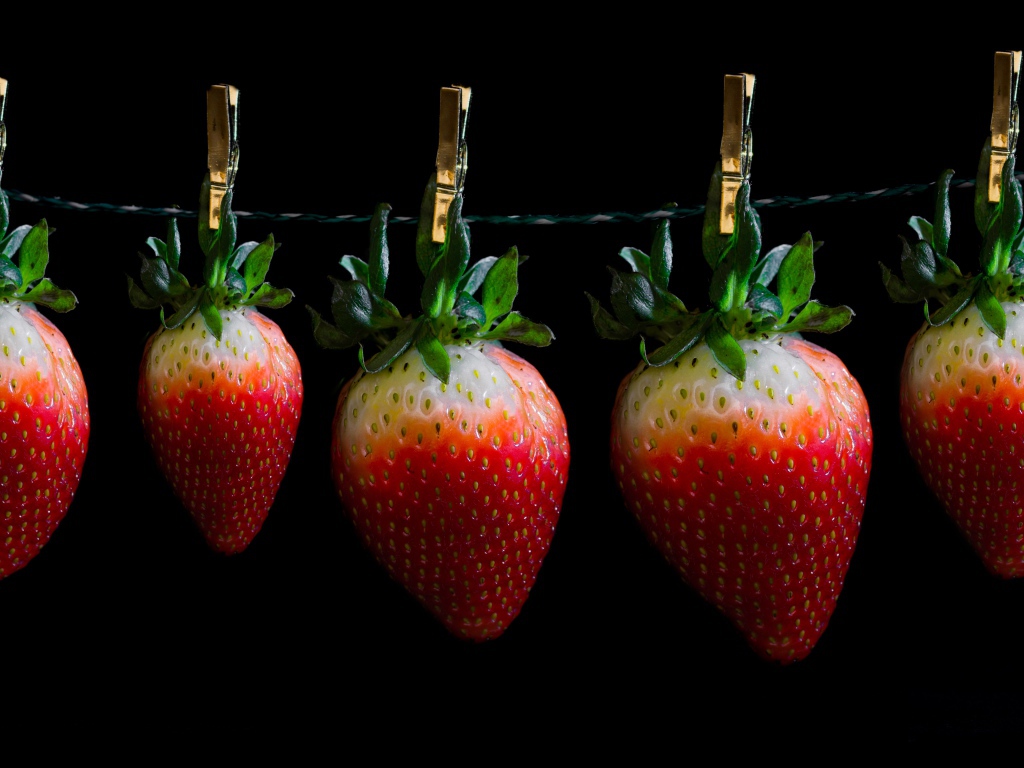 Спелая клубника висит на прищепках на черном фоне