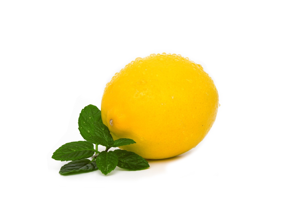 Мокрый лимон с мятой на белом фоне