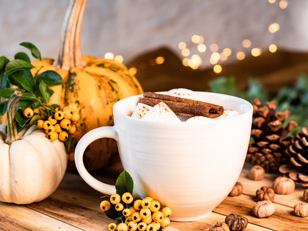 Чашка горячего маршмеллоу с корицей на столе с тыквой и шишками