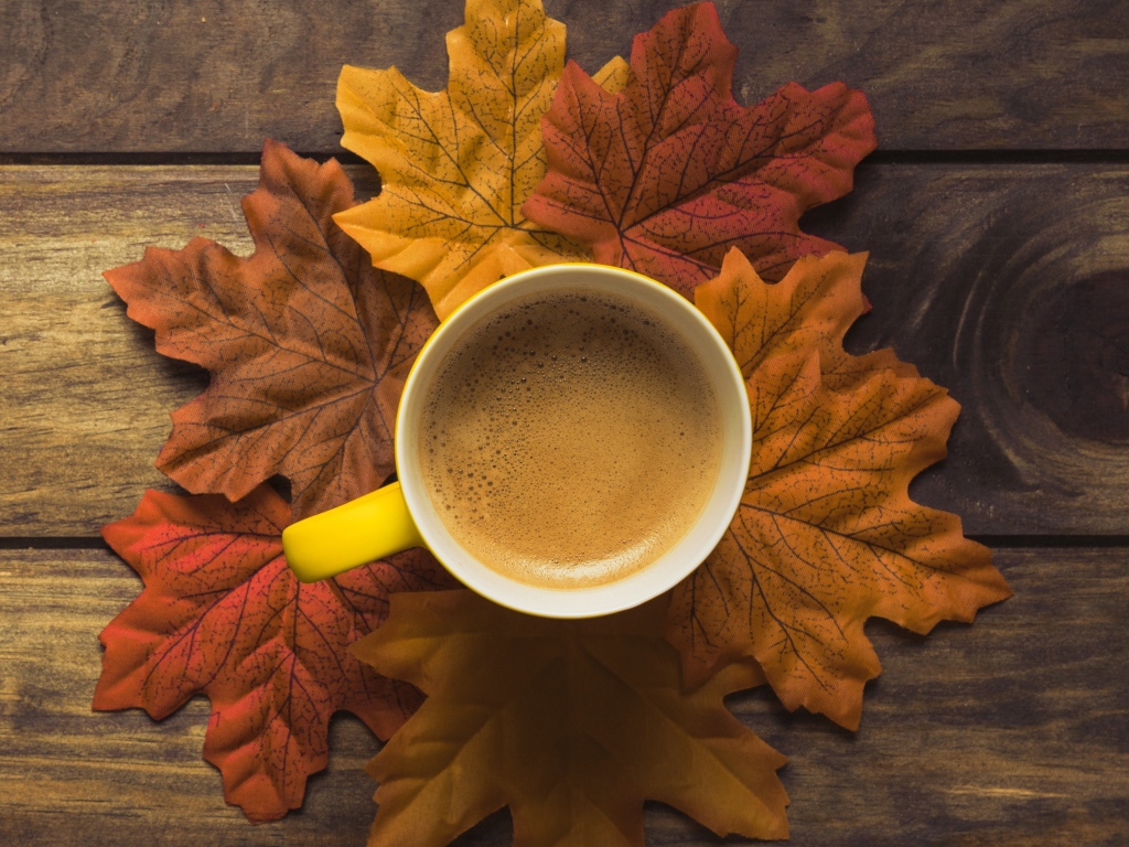 Чашка горячего кофе стоит на осенних листьях 