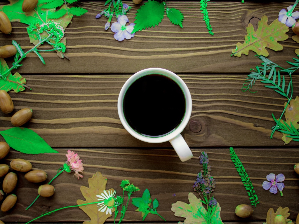 Чашка кофе на столе с желудями