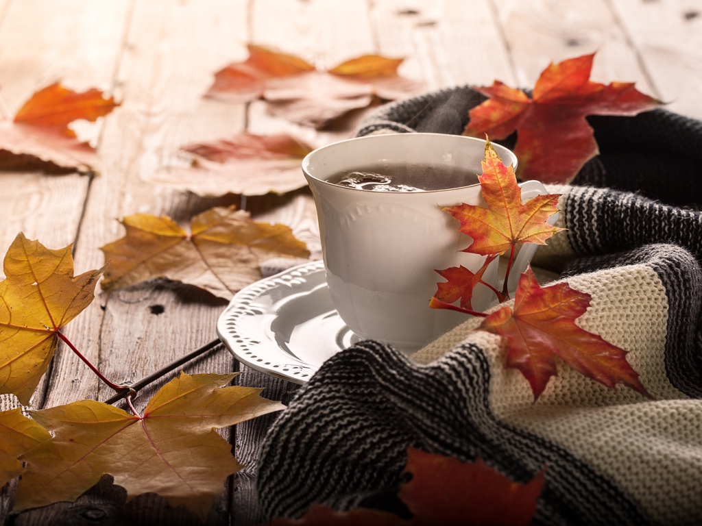 Чашка чая на столе с осенними листьями и пледом