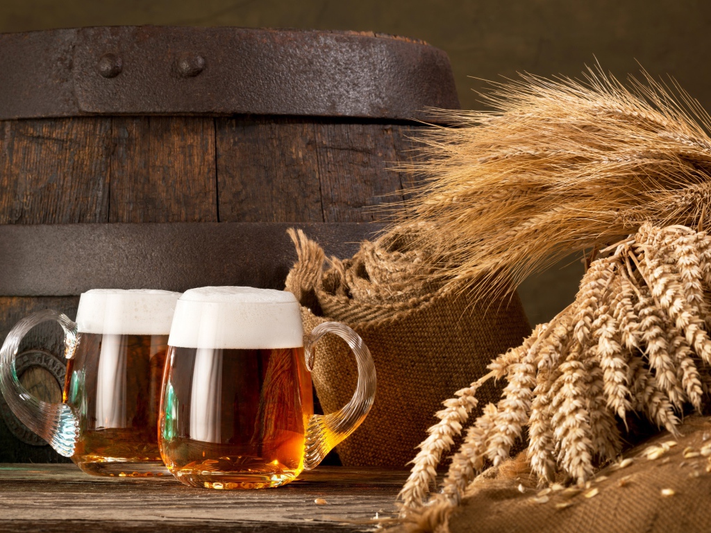 Два бокала пива на столе с колосьями пшеницы  и бочкой