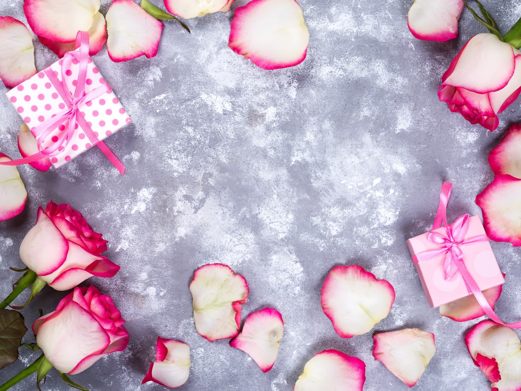 Красивые розовые розы с лепестками и подарками