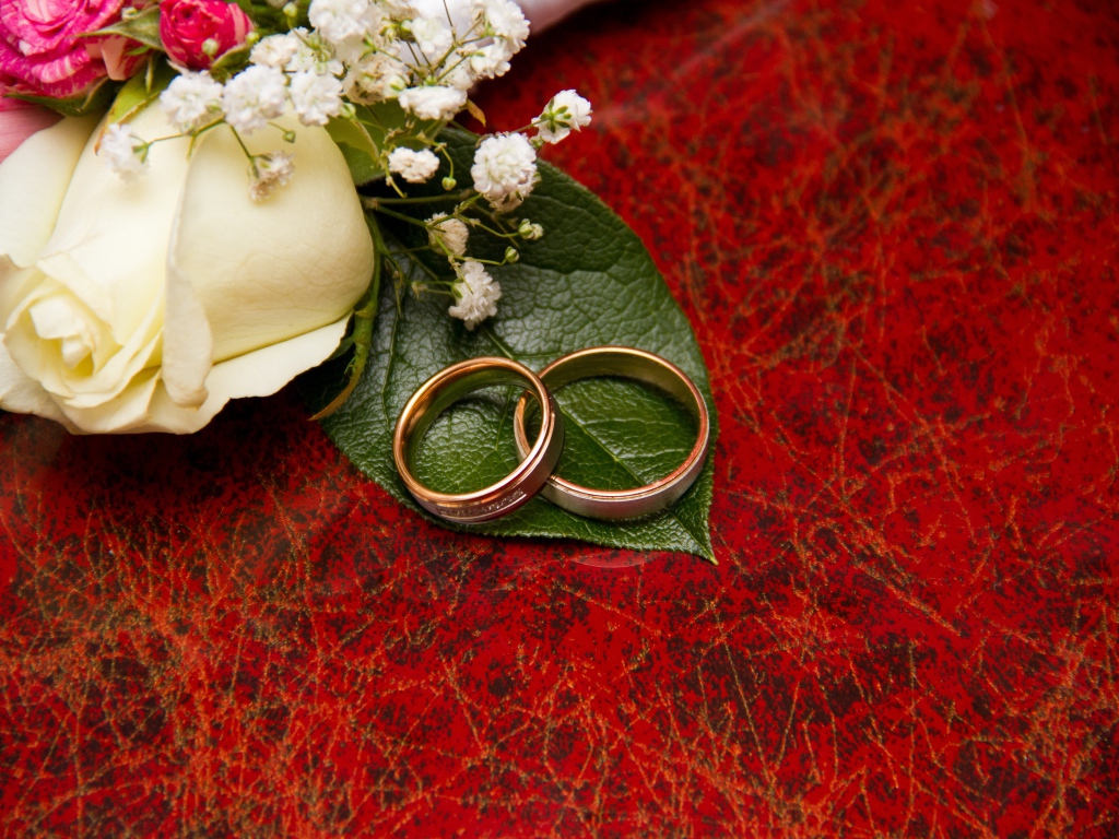 Золотые обручальные кольца на красном фоне