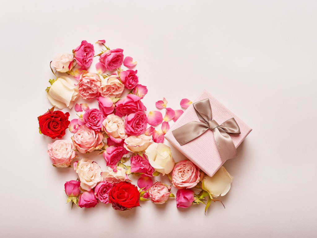 Сердце из цветов розы на розовом фоне с подарком