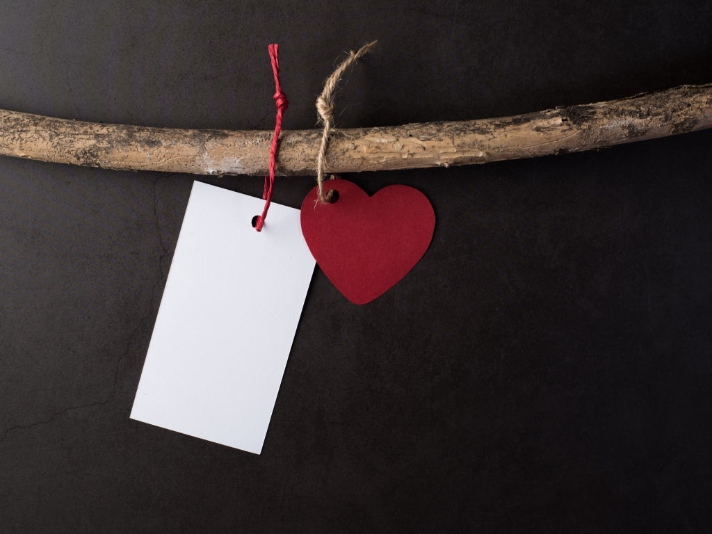 Красное сердечко и белый лист бумаги на ветке 