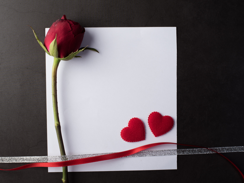 Белый лист бумаги, роза и ленточки на сером фоне