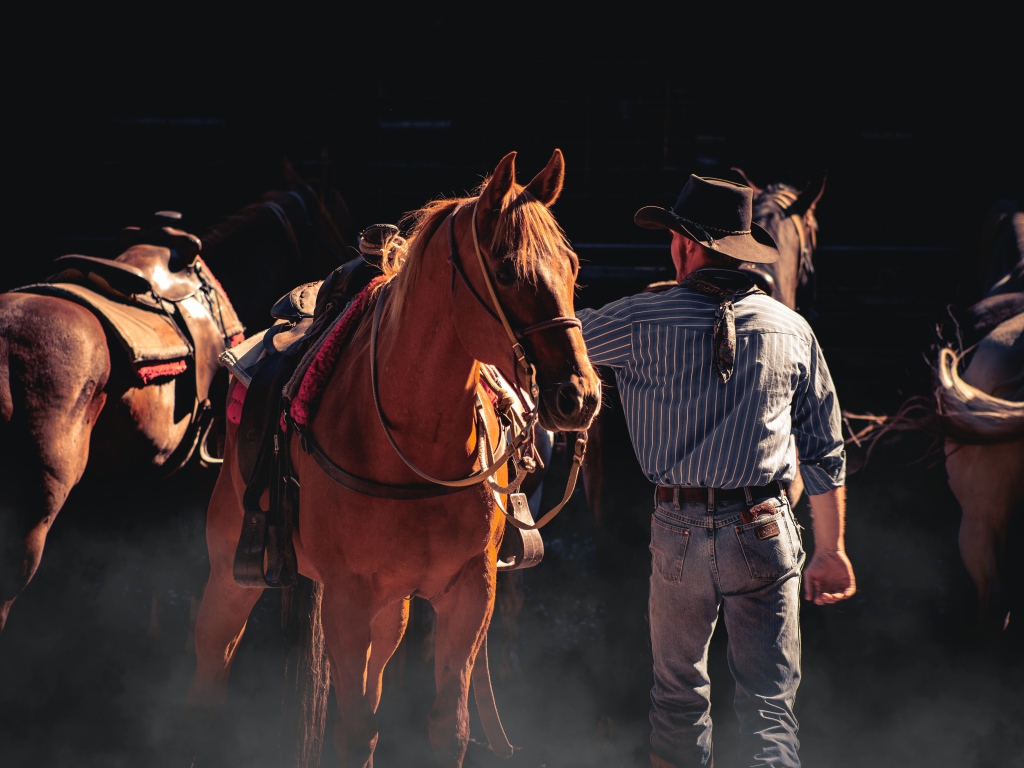 Мужчина ковбой с коричневой лошадью 