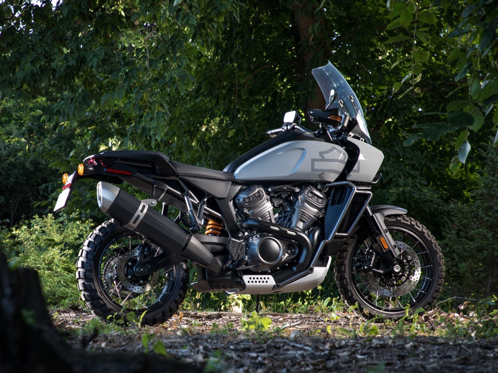 Мотоцикл Harley-Davidson в парке 