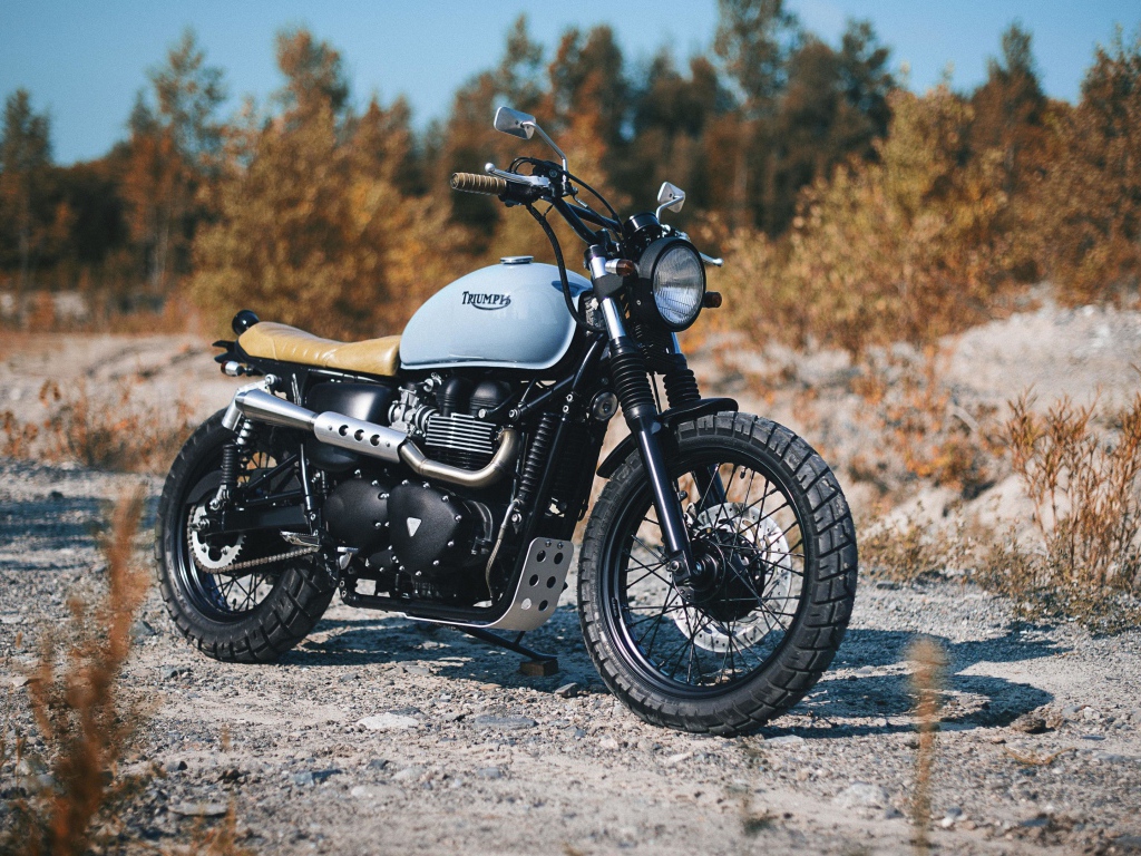 Мотоцикл Triumph Bonneville на дороге в лесу 