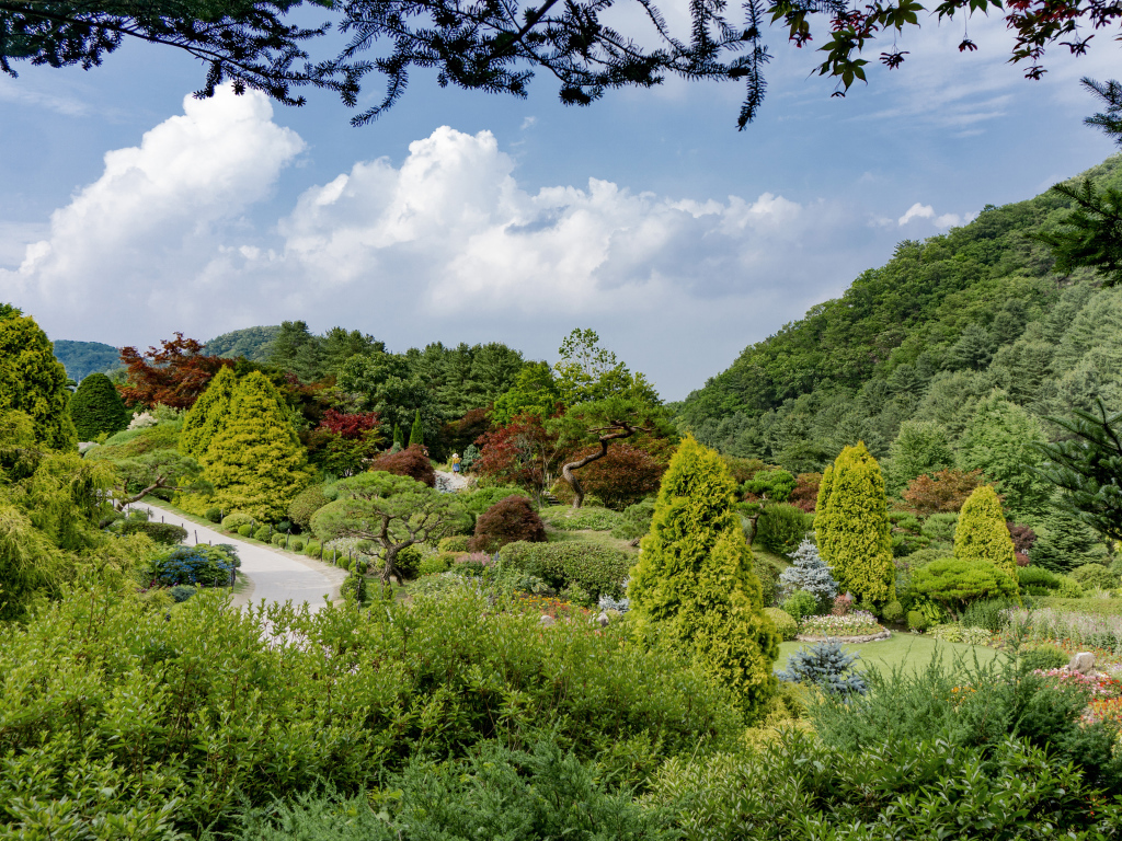 Красивый зеленый парк под голубым небом, Корея