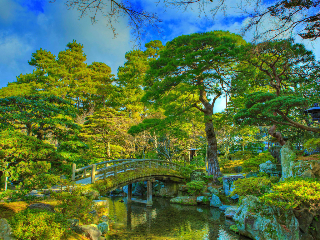 Красивые зеленые деревья в парке у реки