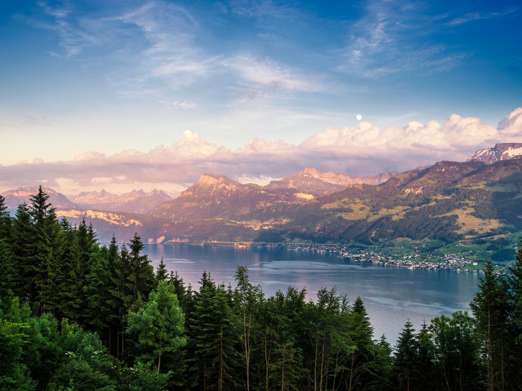 Красивый вид на хвойный лес и горное озеро под голубым небом