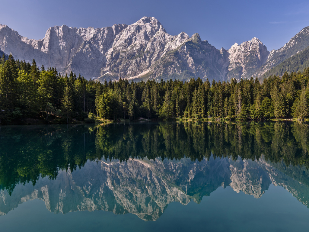Зеленый хвойный лес и горы отражаются в воде 