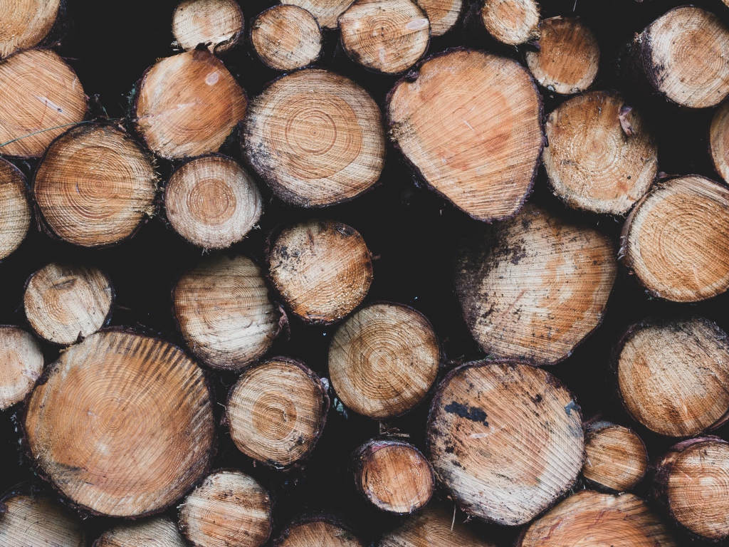 Заготовка дров к суровой зиме