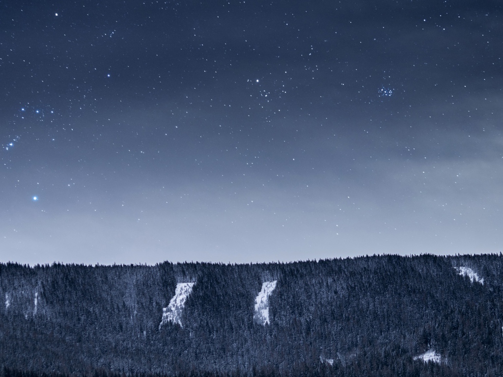 Вид на ночное небо со звездами над лесом