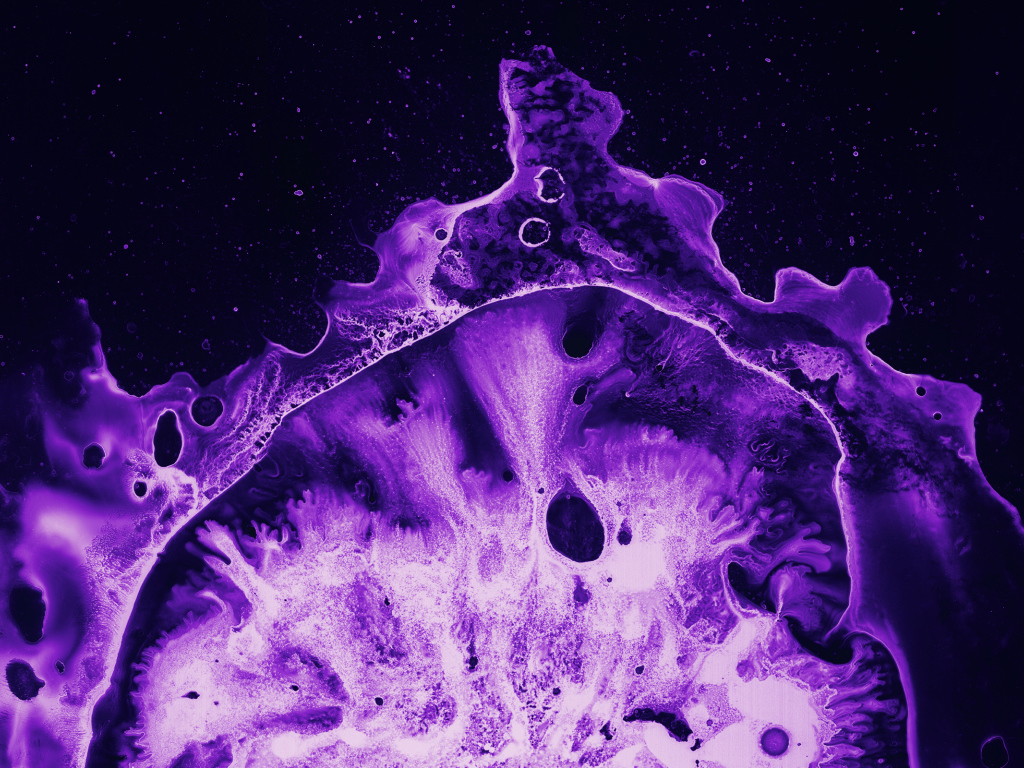 Фиолетовый коралл под микроскопом 