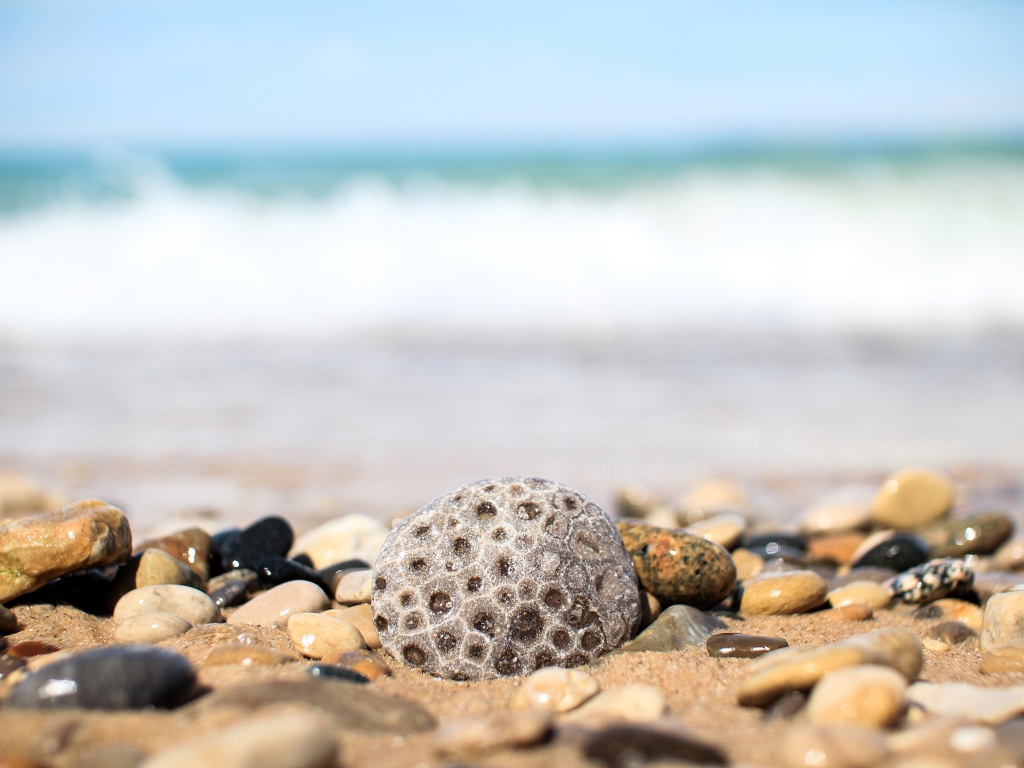 Разные камни лежат на желтом песке у моря 