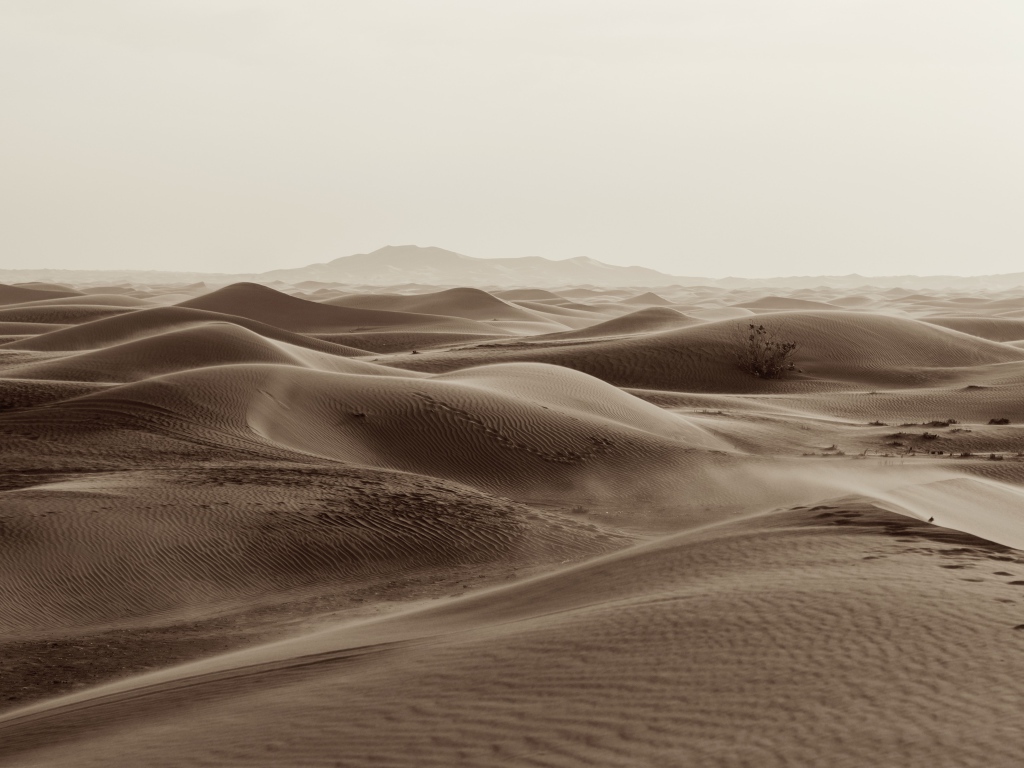 Бескрайние пески пустыни 