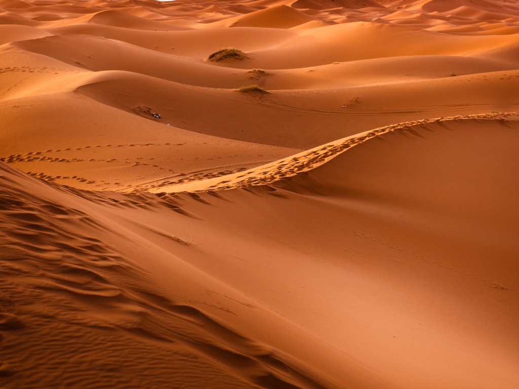 Бескрайние просторы горячей пустыни Сахара 