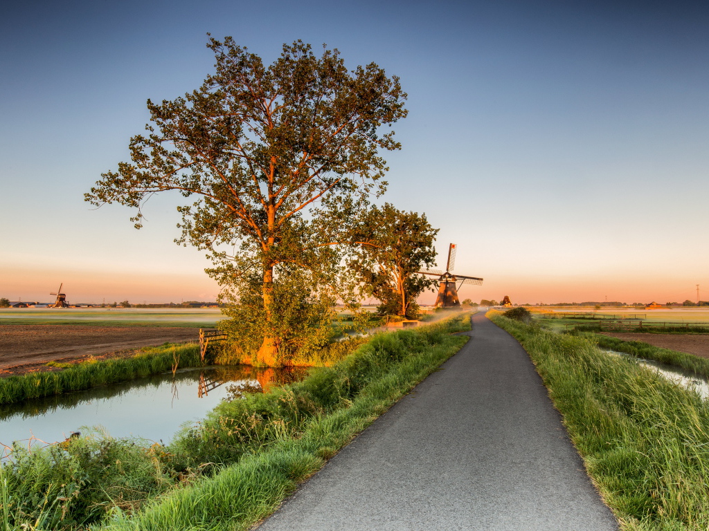 Поле и мельница у дороги на рассвете 