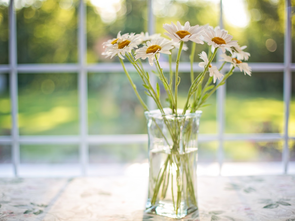 Букет ромашек в стеклянной вазе у окна 