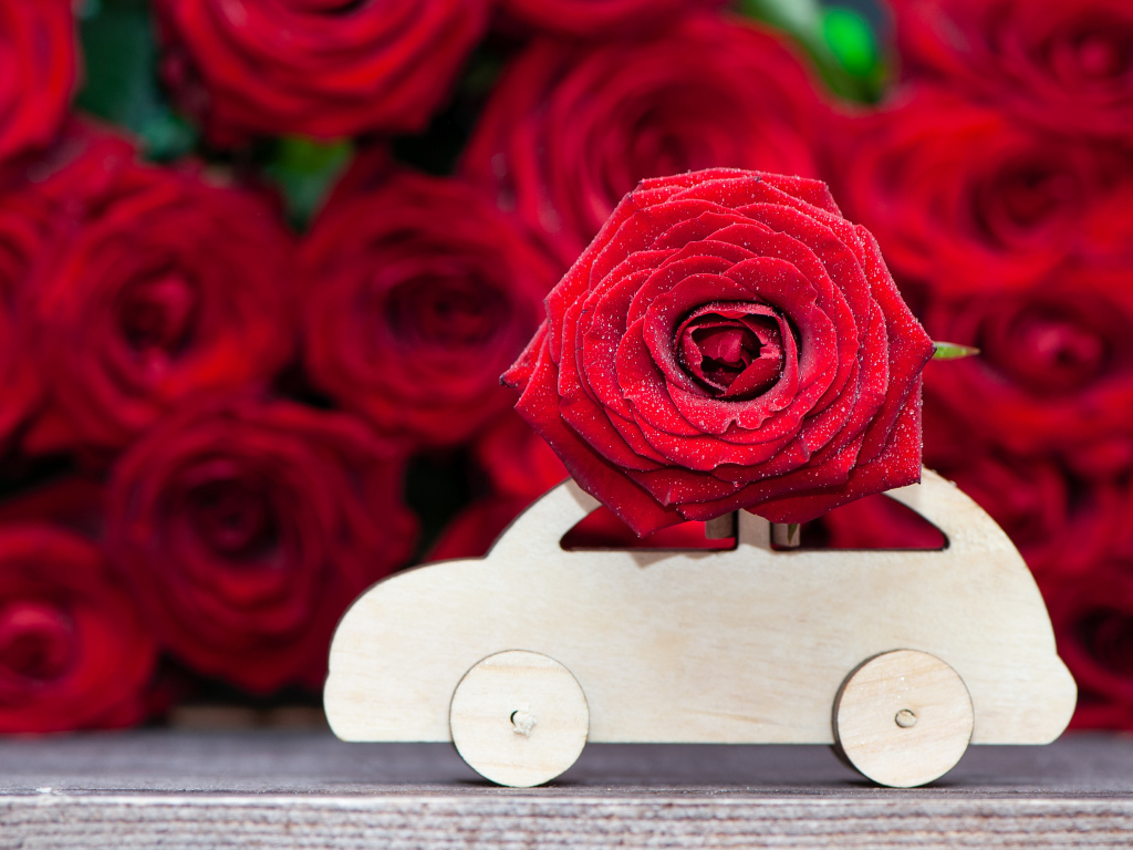 Красивая красная роза с деревянной машинкой 