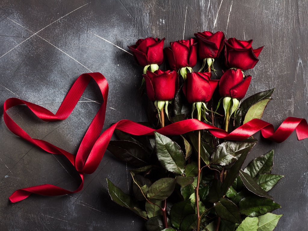 Букет красивых английских роз с красной лентой на сером фоне