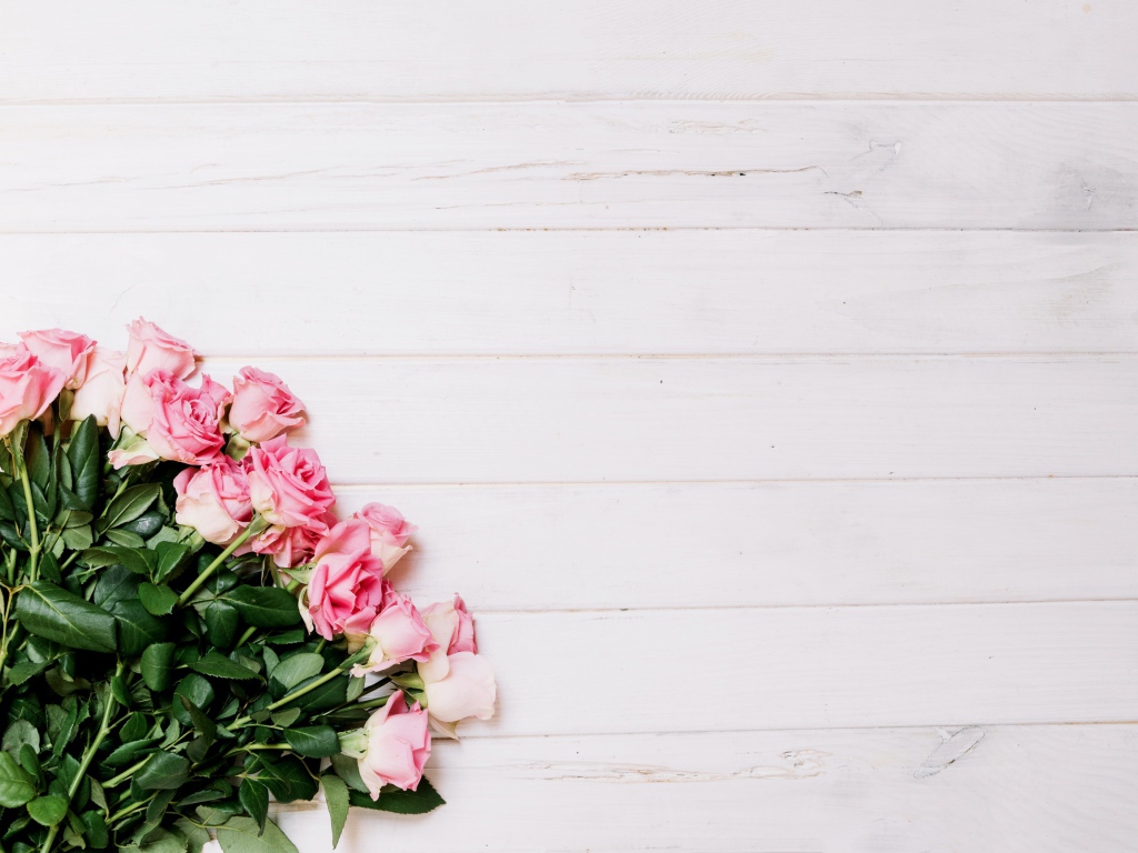 Букет красивых розовых роз на сером фоне 